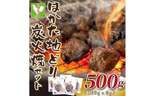 はかた地どり 炭火焼セット 500g(100g×5P) 吉富町/株式会社MEAT PLUS [BGAB028] 2054836 - 福岡県吉富町