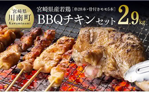 ※令和7年6月発送※ 宮崎県産若鶏　BBQチキンセット（バラエティセット串４P・骨付きモモ５本） 【 肉 鶏 鶏肉 】