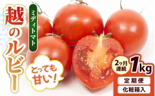【先行予約】定期便 【2ヶ月連続お届け】坂井市砂丘地のとっても甘い フルーツトマト 越のルビー 1kg（10月～11月） 化粧箱入り 【2025年10月上旬以降順次発送】【とまと トマト フルーツトマト ミディトマト ミニトマト トマトジュース 野菜 やさい 人気 新鮮 産地直送 甘い 高糖度 食べやすい リコピン ビタミン ダイエット 美容 美肌 ギフト 贈り物 贈答】 [A-19106] 2258773 - 福井県坂井市