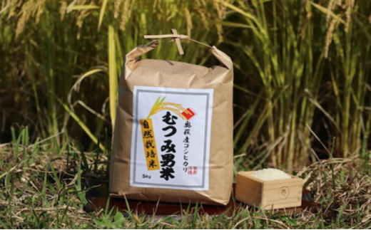 自然栽培 むつみ男米 白米 5kg |HG000412