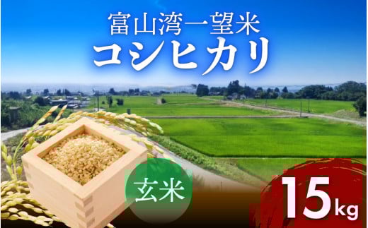 【先行予約】新米 富山湾一望米　コシヒカリ 玄米 【容量15kg】【2025年10月より順次発送】農家直送 米 定期便 選べる 玄米 富山県滑川産お米 産地直送 袋 ブランド米 お米 白米 こしひかり