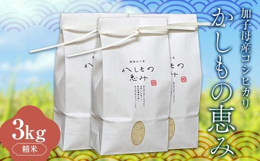加子母産コシヒカリ「かしもの恵み」1kg×3 あなたが選ぶ日本一おいしい米コンテスト受賞米 米 精米 コシヒカリ F4N-1799 2088658 - 岐阜県中津川市
