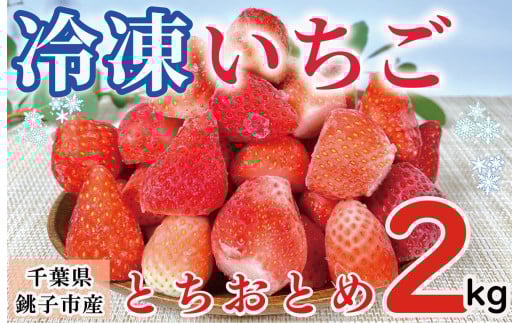 冷凍いちご 約2kg とちおとめ イチゴ 苺 ふるさと納税 果物 フルーツ デザート ヨーグルト こだわり シャーベット スムージー ジャム ソース アイス 国産 産直 産地直送 安心安全 果物 フルーツ くだもの ギフト プレゼント 贈物 贈答 ジャム ショートケーキ ババロア タルト スムージー ジュース アイス ジェラート ケーキ ふるさと納税 ふるさと納税苺千葉県 銚子市 林いちご園  2005317 - 千葉県銚子市