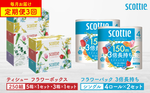 [定期便3回][毎月1回お届け][スコッティ]ティシュー フラワーボックス 250組(5箱パック×1セット・3箱パック×1セット)+フラワーパック 3倍長持ち(4ロール(シングル)パック×2セット)ティッシュ トイレットペーパー 日用品