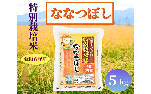 北海道奈井江町　特別栽培米　ななつぼし　5kg 2101417 - 北海道奈井江町