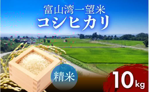 【先行予約】新米 富山湾一望米　コシヒカリ 精米 【容量10kg】【2025年10月より順次発送】 農家直送 米 定期便 選べる 精米 富山県滑川産お米 産地直送 袋 ブランド米 お米 白米 こしひかり