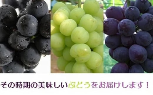 アイテムID:368951の画像1枚目