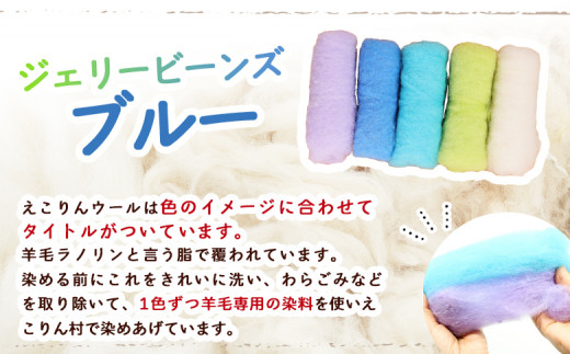 えこりんウールセット《白とジェリービーンズ　ブルー》