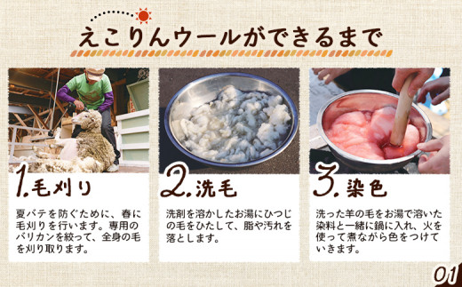 えこりんウールセット《白とジェリービーンズ　ブルー》