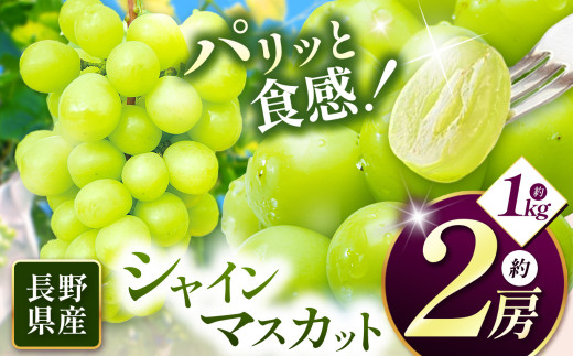 【先行受付】信州産 シャインマスカット 2房(約1㎏)|ふるさと納税 松本市 シャインマスカット 果物 フルーツ 種なし 皮ごと 信州産 果肉 美味しい 人気 長野県 2005819 - 長野県松本市
