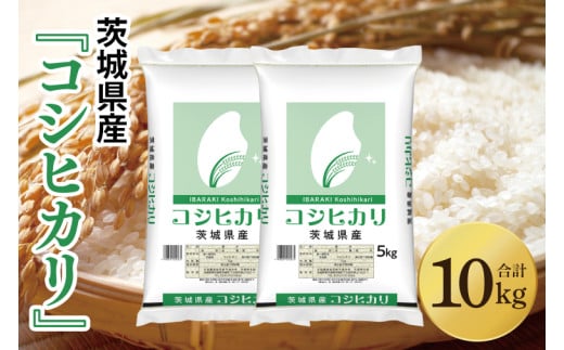 令和7年産 茨城県産 コシヒカリ10kg（5kg×2袋）【お米 米 こしひかり ごはん 茨城県】（03-49-1） 1703455 - 茨城県阿見町