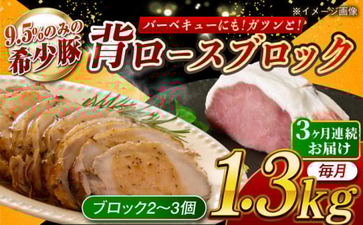[月1回約1.3kg×3回定期便]大西海SPF豚 背ロースブロック 計約3.9kg 長崎県/長崎県農協直販 [42ZZAA089]