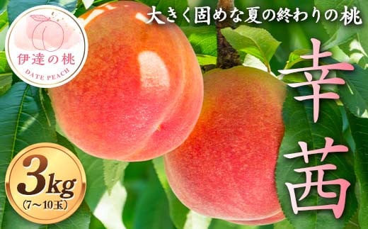 大きく固め 夏の終わりの桃 幸茜 約3kg(7~10玉) 伊達の桃 桃 もも モモ 果物 くだもの フルーツ 国産 食品 F21C-126 2115653 - 福島県伊達市