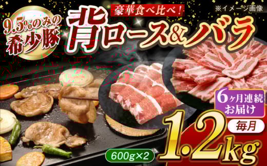 【月1回約1.2kg×6回定期便】大西海SPF豚 背ロース＆バラ（焼肉用）計約7.2kg 長崎県/長崎県農協直販 [42ZZAA106] 948573 - 長崎県長崎県庁