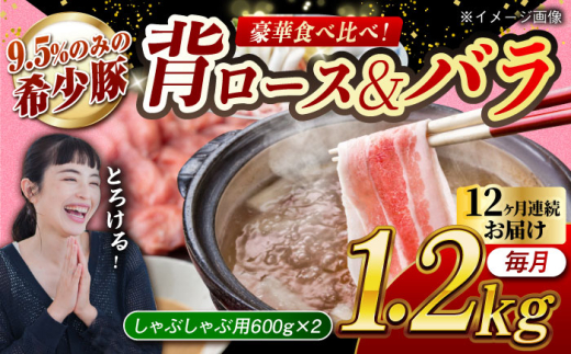 【月1回約1.2kg×12回定期便】大西海SPF豚 背ロース＆バラ（しゃぶしゃぶ用）計約14.4kg 長崎県/長崎県農協直販 [42ZZAA111] 948578 - 長崎県長崎県庁