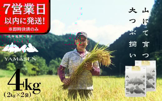 【令和6年産米】すがたらいす 山仙 (いのちの壱)  2kg×2袋（4kg）すがたらいす 4キロ 下呂市金山産 2024年産 お米 精米 米 いのちのいち やません
