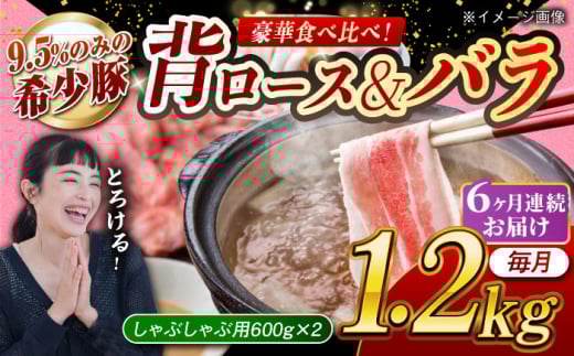【月1回約1.2kg×6回定期便】大西海SPF豚 背ロース＆バラ（しゃぶしゃぶ用）計約7.2kg 長崎県/長崎県農協直販 [42ZZAA110] 948577 - 長崎県長崎県庁