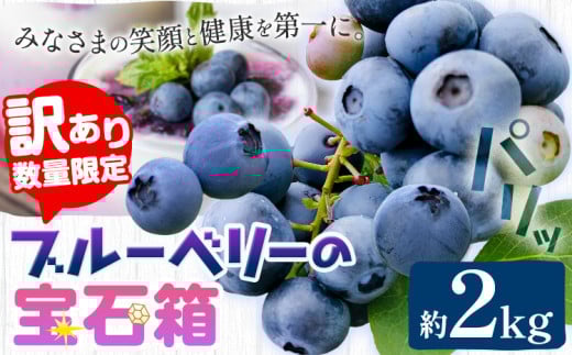 【2026年先行予約】【訳あり数量限定】ブルーベリー 計2kg (500g×4パック) ブルーベリーの宝石箱 かさおか青空ファーム 先行予約《2026年6月上旬-8月下旬頃出荷》 岡山県 笠岡市 送料無料 フルーツ 果物 岡山県産 国産 ブルーベリー お取り寄せ st-p