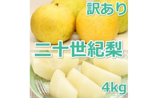 953.【訳あり】二十世紀梨 4kg【梨・なし】≪梨 なし ナシ 果物 フルーツ くだもの 鳥取県北栄町≫※8月下旬頃～9月下旬頃に順次発送 1987253 - 鳥取県北栄町