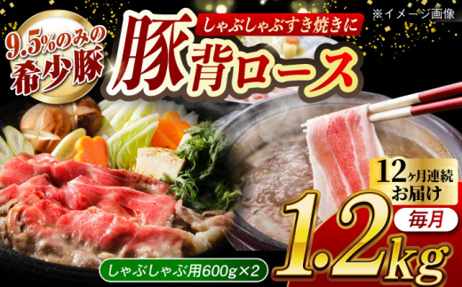 【月1回約1.2kg×12回定期便】大西海SPF豚 背ロース（しゃぶしゃぶ用）計約14.4kg 長崎県/長崎県農協直販 [42ZZAA079] 953165 - 長崎県長崎県庁