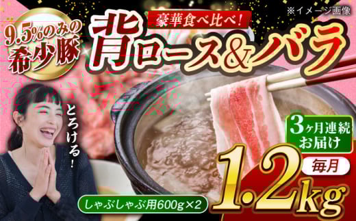 【月1回約1.2kg×3回定期便】大西海SPF豚 背ロース＆バラ（しゃぶしゃぶ用）計約3.6kg 長崎県/長崎県農協直販 [42ZZAA109] 948576 - 長崎県長崎県庁