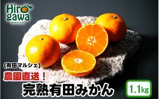 農園直送！ 完熟有田みかん 1.1kg+200g(傷み補償分) ＜12月発送予定＞ 秀・優混み SSサイズ～Lサイズ混合 ※北海道・沖縄・離島への配送不可 / 和歌山 有田みかん ミカン オレンジ 甘い フルーツ 果物 産地直送 【ard004-noen-1d1-12】 1531801 - 和歌山県広川町