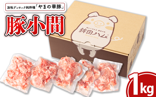 放牧デュロック純粋種「やまの華豚」豚小間200g×5パック