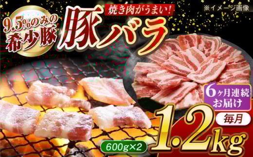 【月1回約1.2kg×6回定期便】大西海SPF豚 バラ（焼肉用）計約7.2kg 長崎県/長崎県農協直販 [42ZZAA094] 948561 - 長崎県長崎県庁