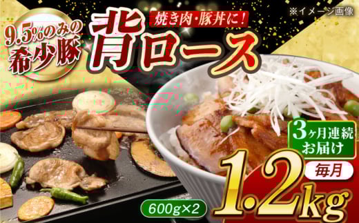 [月1回約1.2kg×3回定期便]大西海SPF豚 背ロース(焼肉用)計約3.6kg 長崎県/長崎県農協直販 [42ZZAA073]