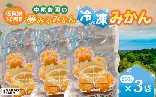 中尾農園の夢みるみかん 凍結みかん500g×3袋  みかん ミカン 蜜柑 柑橘 小玉 凍結みかん フルーツ くだもの 果物 ビタミン豊富 国産 月の引力が見える町 さがみかん 太良みかん 夢みるみかん おいしい 減農薬 濃厚 ギフト 贈答品 贈り物 冷凍 佐賀県 太良町 M110