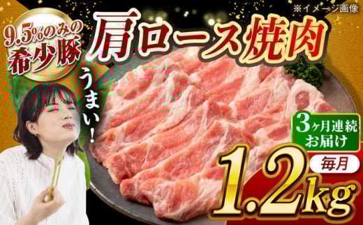[月1回約1.2kg×3回定期便]大西海SPF豚 肩ロース(焼肉用)計約3.6kg 長崎県/長崎県農協直販 [42ZZAA057]