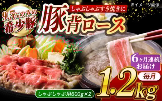 【月1回約1.2kg×6回定期便】大西海SPF豚 背ロース（しゃぶしゃぶ用）計約7.2kg 長崎県/長崎県農協直販 [42ZZAA078] 953164 - 長崎県長崎県庁