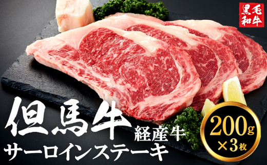但馬牛経産牛「サーロインステーキ」200ｇ×3枚 020AA02N.／黒毛和牛 ステーキ肉 いちかわ精肉店 経産牛 牛肉 国産 bbq バーベキュー 焼肉 ステーキ サーロイン 赤身 肉 冷凍 焼き肉用