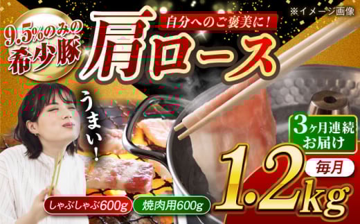 [月1回約1.2kg×3回定期便]大西海SPF豚 肩ロース(焼肉&しゃぶしゃぶ用)計約3.6kg 長崎県/長崎県農協直販 [42ZZAA065]
