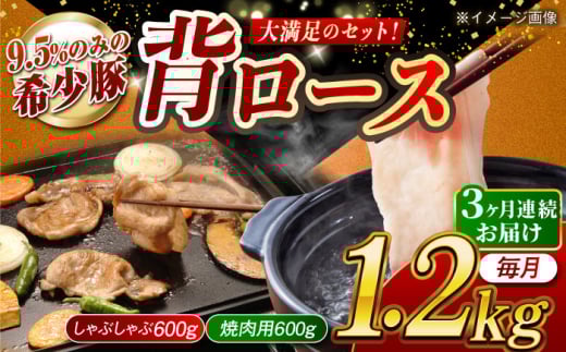 [月1回約1.2kg×3回定期便]大西海SPF豚 背ロース(焼肉&しゃぶしゃぶ用)計約3.6kg 長崎県/長崎県農協直販 [42ZZAA081]