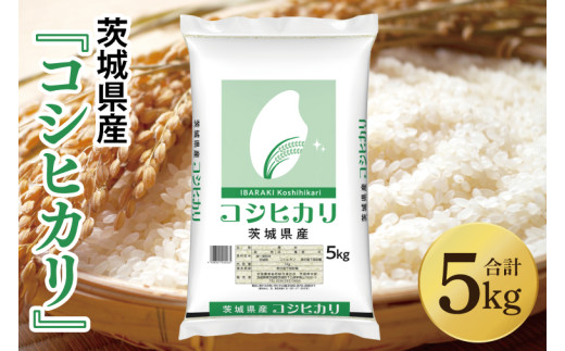 令和7年産 茨城県産 コシヒカリ5kg【お米 米 こしひかり ごはん 茨城県】（03-48-1） 1703456 - 茨城県阿見町