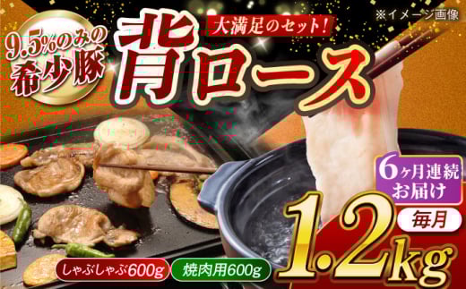 【月1回約1.2kg×6回定期便】大西海SPF豚 背ロース（焼肉＆しゃぶしゃぶ用）計約7.2kg 長崎県/長崎県農協直販 [42ZZAA082] 953168 - 長崎県長崎県庁