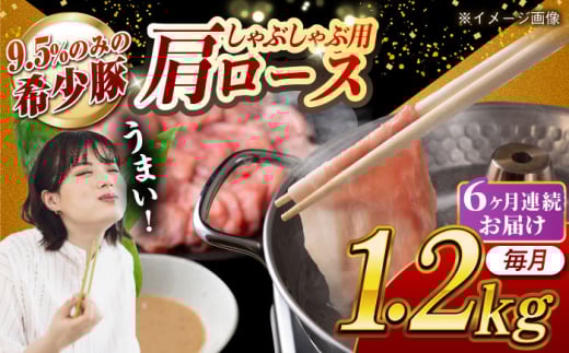 【月1回約1.2kg×6回定期便】大西海SPF豚 肩ロース（しゃぶしゃぶ用）計約7.2kg 長崎県/長崎県農協直販 [42ZZAA062] 948549 - 長崎県長崎県庁