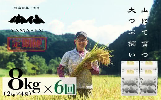 令和6年産米【定期便】山仙（いのちの壱）【2kg×4袋（8kg）×6回】 すがたらいす 下呂市金山産 2024年産 毎月 8キロ×6カ月 お米 精米 下呂温泉 下呂市 米 ブランド米