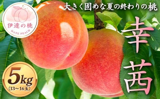 大きく固め 夏の終わりの桃 幸茜 約5kg(13~16玉) 伊達の桃 桃 もも モモ 果物 くだもの フルーツ 国産 食品 F21C-127 2115654 - 福島県伊達市