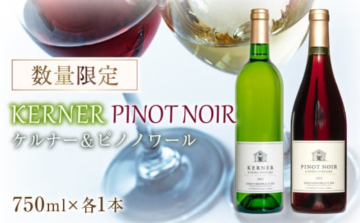 ケルナー2023年＆ピノノワール2023年 750ml× 各1本 セット ギフト【数量限定】赤ワイン 白ワイン 辛口 北海道産 1545844 - 北海道余市町