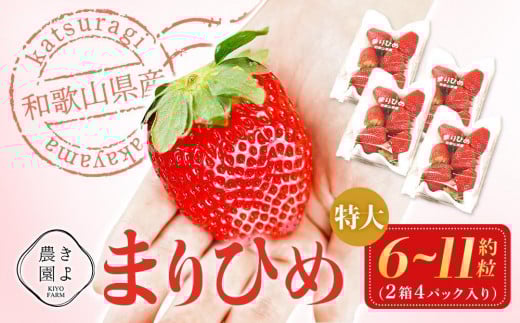 特大まりひめイチゴ 朝摘 6個～11個入×4パック［2026年1月中旬頃より発送］［先行予約］［KT4］ 1221033 - 和歌山県高野町