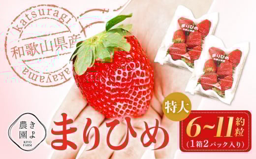 特大まりひめイチゴ 朝摘 6個～11個入×2パック［2026年1月中旬頃より発送］［先行予約］［KT3］ 1220322 - 和歌山県印南町