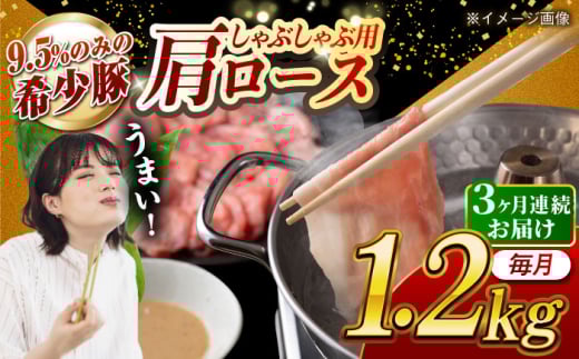 [月1回約1.2kg×3回定期便]大西海SPF豚 肩ロース(しゃぶしゃぶ用)計約3.6kg 長崎県/長崎県農協直販 [42ZZAA061]