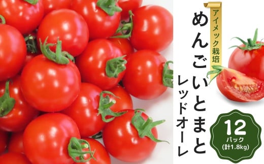 めんごいとまと TYレッドオーレ 150g×12パック ( 計1.8kg ) 4月発送 めんごいとまとたむら アイメック栽培 ミニトマト トマト プチトマト 冬トマト 野菜 農家直送 ギフト プレゼント 新鮮 福島県 田村市 堀越農園 