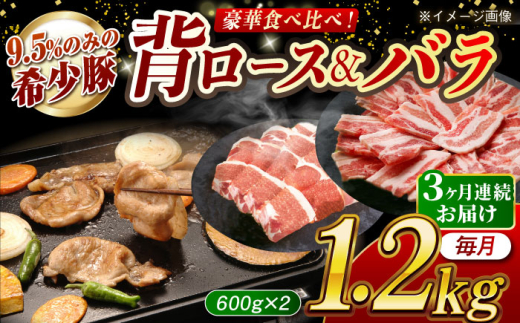 [月1回約1.2kg×3回定期便]大西海SPF豚 背ロース&バラ(焼肉用)計約3.6kg 長崎県/長崎県農協直販 [42ZZAA105]