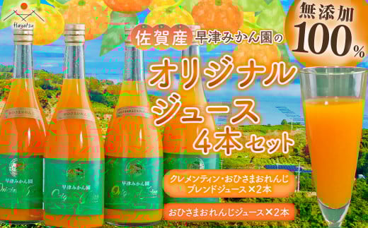 O-92 オリジナルジュース2種4本セット 394895 - 佐賀県太良町