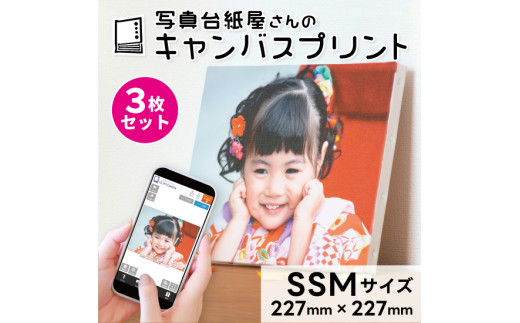 キャンバスプリント SSMサイズ 3枚セット フォト 写真 パネル オーダー 印刷 アート ファブリックパネル インテリア