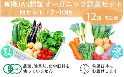 ＜毎月定期便＞有機野菜　Mセット　オーガニック 野菜 セット　有機JAS　しあわせ野菜畑　全12回【4013499】 931252 - 静岡県掛川市