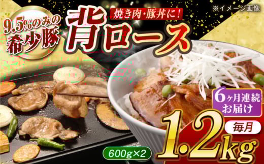 【月1回約1.2kg×6回定期便】大西海SPF豚 背ロース（焼肉用）計約7.2kg 長崎県/長崎県農協直販 [42ZZAA074] 953160 - 長崎県長崎県庁